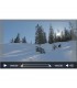 Telestream TEL-SW4PLA-M - Switch 4 Player for Mac