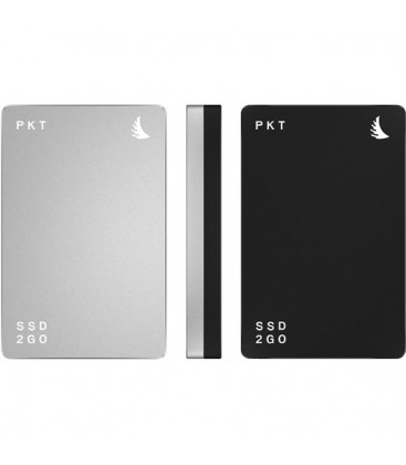 Angelbird AB-PKTU31-1000SK - SSD2go PKT 1 TB Silver