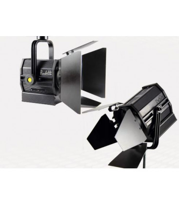Desisti 100C.DMX - PICCOLETTO DMX COLOR