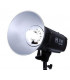 Falcon Eyes 290290 - Studio Flash TF-301 Digital