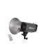 Falcon Eyes 290342 - Studio Flash TF-1200L with LCD Display