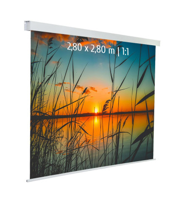 Kimex 042-3627 - Motorized Projection Screen 2.80x2.80m 1: 1