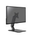 Kimex 015-1511 - Desktop Stand for 1 PC Monitor 17''-32''
