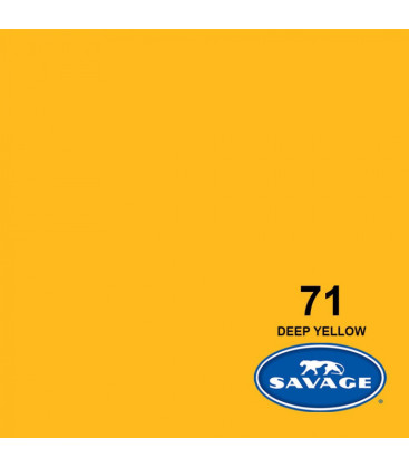 Savage SAV71-12 - Background Paper Deep Yellow 2 ,72x11m